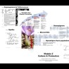Montage showing several pages of the course printout