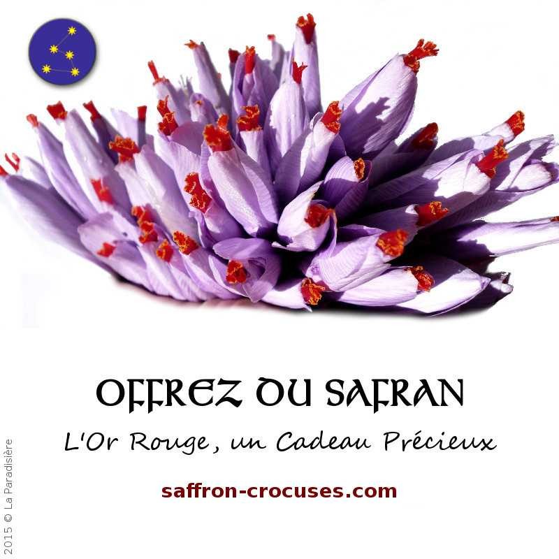 Safran épice pur stigmates pistils de Safran qualité ISO 3632 pas cher