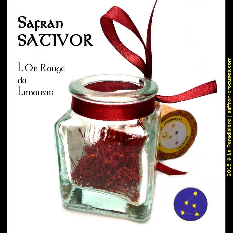 Safran en pistil Sargol • Terre d'Épice