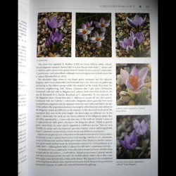 Sample 6 content from The World of Crocuses