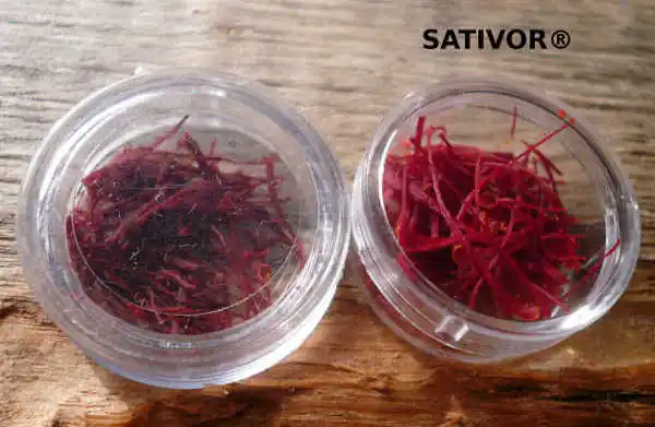 Quality difference comparing Saffron from La Paradisière with commercial saffron