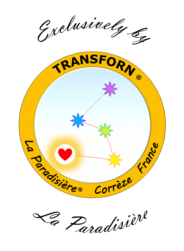 Logo of the brand TRANSFORN®