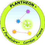 Logo of the brand PLANTHEON®
